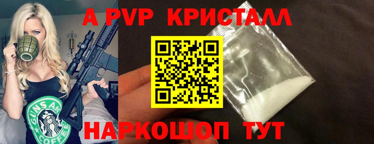 Alfa_PVP СК КРИС Гудермес
