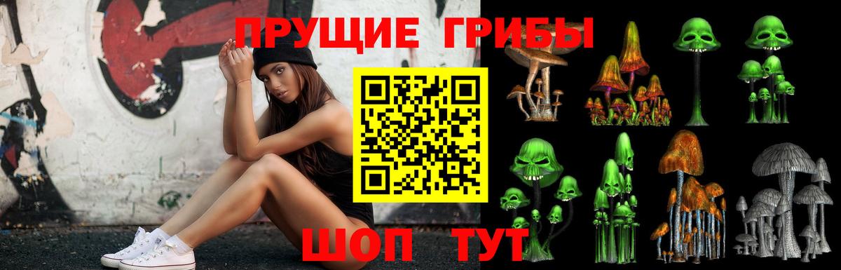 Галлюциногенные грибы Cubensis  что такое   Гудермес  Псилоцибиновые грибы MAGIC MUSHROOMS  Вход с VPN 